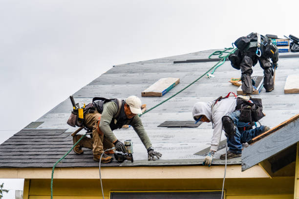 Professional Storm Damage Roof Repair technician working in Littleton, MA